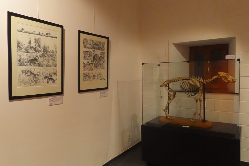 Loup qui es-tu - Photo2.JPG