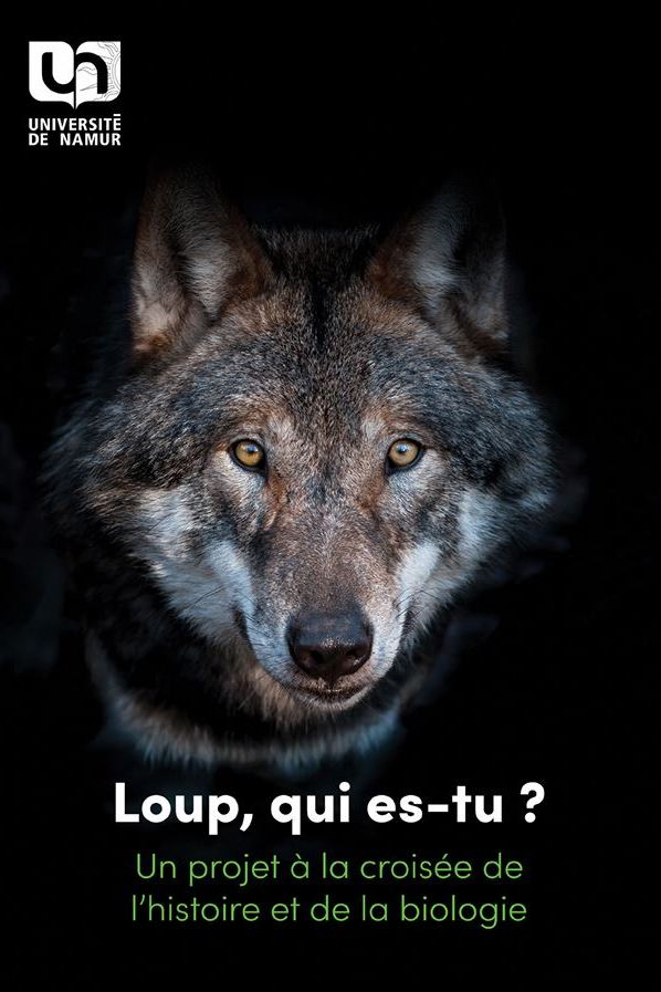Loup qui es-tu - thèse.JPG