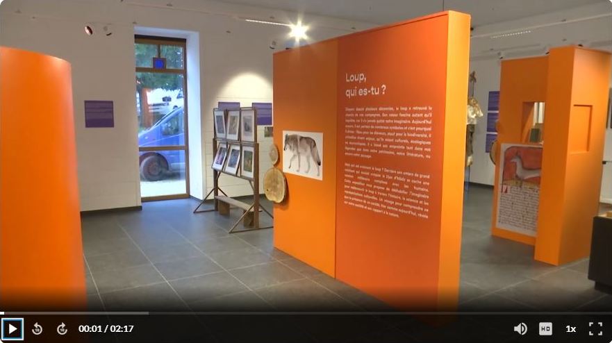 Loup qui es-tu - TV Lux.JPG