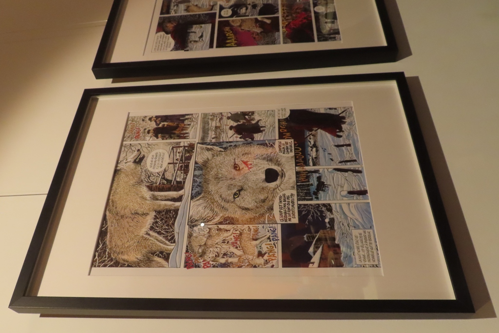 Loup qui es-tu - Photo4.JPG