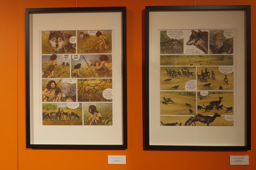 Loup qui es-tu - Photo3.JPG